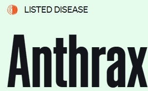 Anthrax 01
